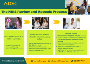 NDIS Review Appeals Process 1