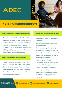 NDIS Transition Support